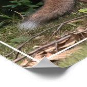 Live met gedistilleerd Poster (Hoek)