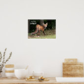 Live met gedistilleerd Poster (Keuken)