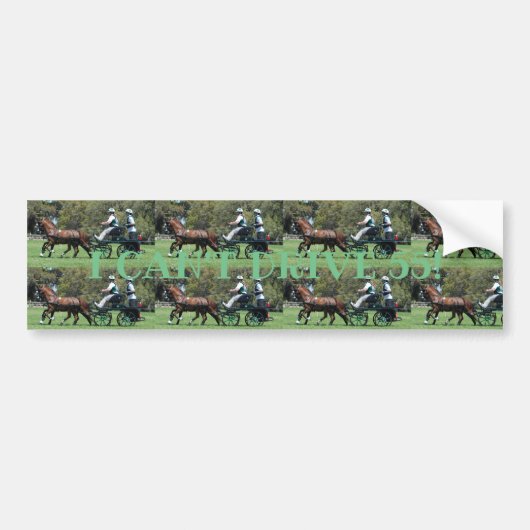 Live Oak CDE maart 2010 Bumpersticker (Voorkant)