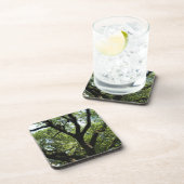 Live Oak in het centrum van Savannah Drankjes Onderzetter (Rechterzijde)