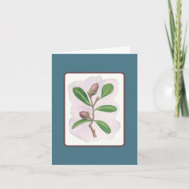 Live Oak Kaart: Blauw en Bruin Kaart