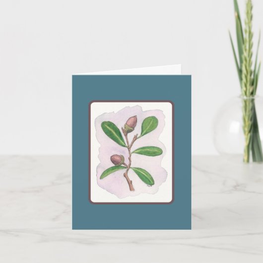 Live Oak Kaart: Blauw en Bruin Kaart (Voorkant)