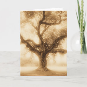 Live Oak - MW1100 Kaart