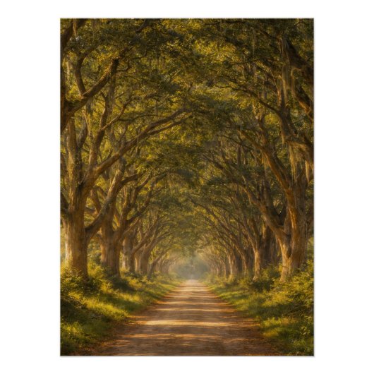 Live Oak Pad | Landschap | Poster (Voorkant)
