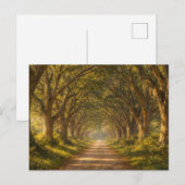 Live Oak Path | Landscape | Postcard Briefkaart (Voorkant / Achterkant)