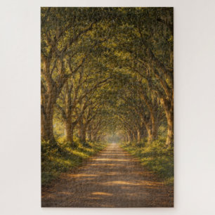 Live Oak Path   Landschap   Puzzel