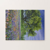 Live Oak & Texas Paintborstel, en Texas Legpuzzel (Horizontaal)