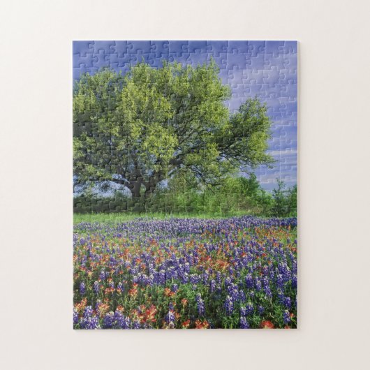 Live Oak & Texas Paintborstel, en Texas Legpuzzel (Verticaal)