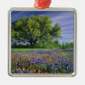 Live Oak & Texas Paintborstel, en Texas Metalen Ornament (Voorkant)