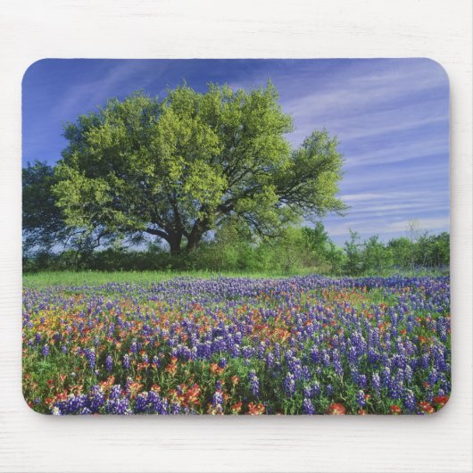 Live Oak & Texas Paintborstel, en Texas Muismat (Voorkant)
