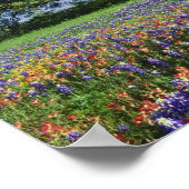 Live Oak & Texas Paintborstel, en Texas Poster (Hoek)