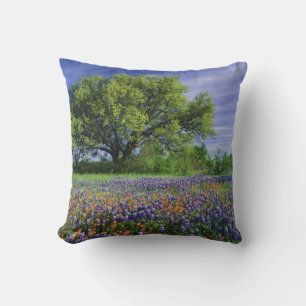 Live Oak & Texas Paintbrush, en Texas Kussen