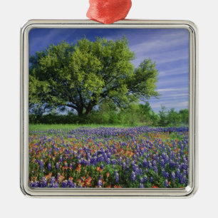 Live Oak & Texas Paintbrush, en Texas Metalen Ornament