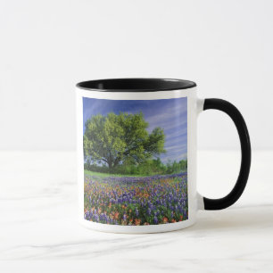 Live Oak & Texas Paintbrush, en Texas Mok