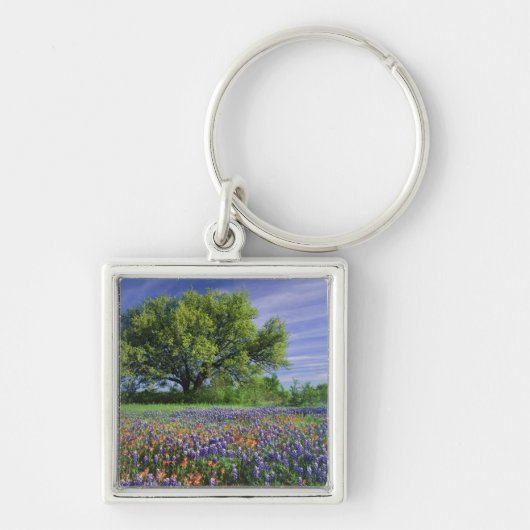 Live Oak & Texas Paintbrush, en Texas Sleutelhanger (Voorkant)