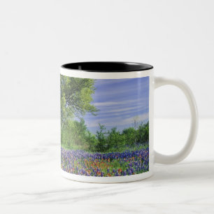 Live Oak & Texas Paintbrush, en Texas Tweekleurige Koffiemok