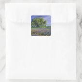 Live Oak & Texas Paintbrush, en Texas Vierkante Sticker (Tas)
