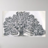 LIVE OAK TREE SKETCH POSTER (Voorkant)