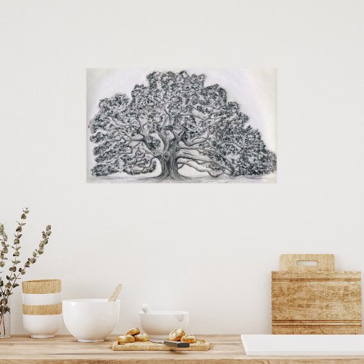 LIVE OAK TREE SKETCH POSTER (Keuken)