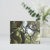Live Oaks Muir Quote Briefkaart (Staand voorkant)