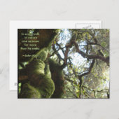 Live Oaks Muir Quote Briefkaart (Voorkant / Achterkant)