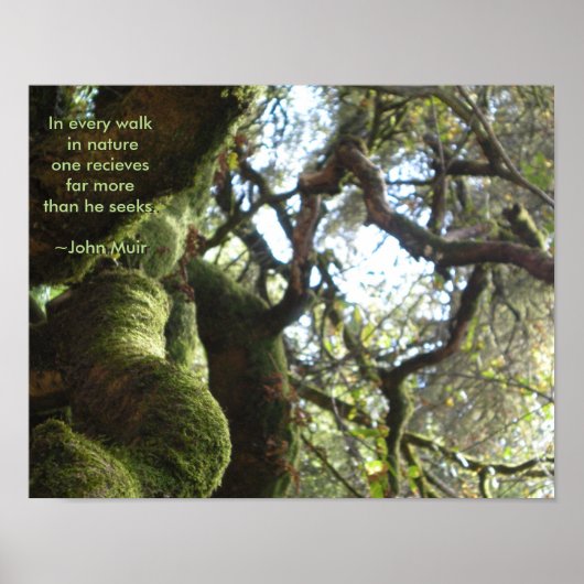 Live Oaks Muir Quote Poster (Voorkant)
