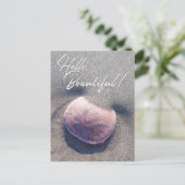 Live Sand Dollar Foto Hallo Prachtige Briefkaart (Staand voorkant)