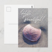 Live Sand Dollar Foto Hallo Prachtige Briefkaart (Voorkant / Achterkant)