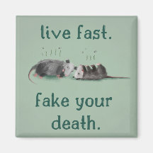 Live snel. Verdwijn je dood. Opossum Magnet