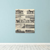 Live Stock in Kansas Canvas Afdruk (Insitu (Houten vloer))