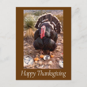 Live Turkey Pet Photo Thanksgiving Briefkaart Jaar