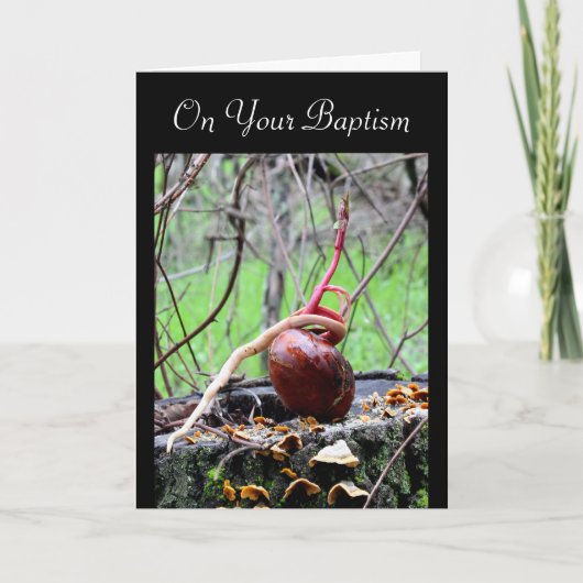 Live Word Buckeye Tree Sprout Adult Baptism Kaart (Voorkant)