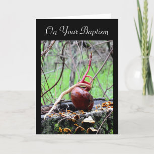 Live Word Buckeye Tree Sprout Adult Baptism Kaart