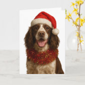 Liver and white Springer Spaniel Christmas card Kaart (Gele Bloem)