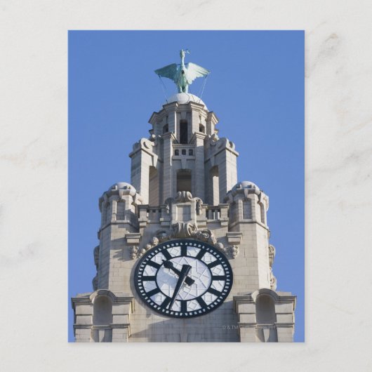 Liver Building, Cunard Building, Liverpool Briefkaart (Voorkant)