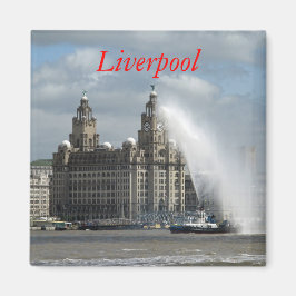 Liver Building - Fridge Magnet