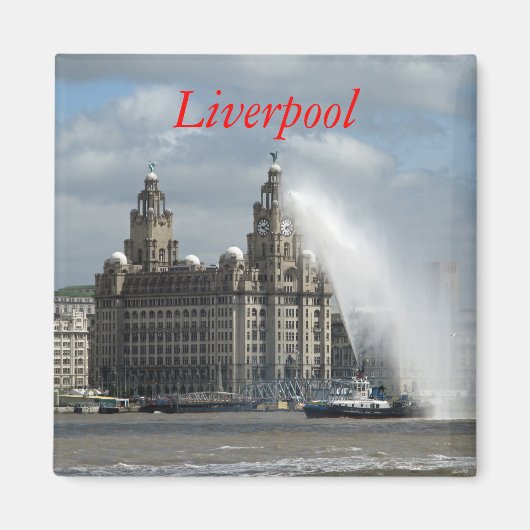 Liver Building - Fridge Magnet (Voorkant)
