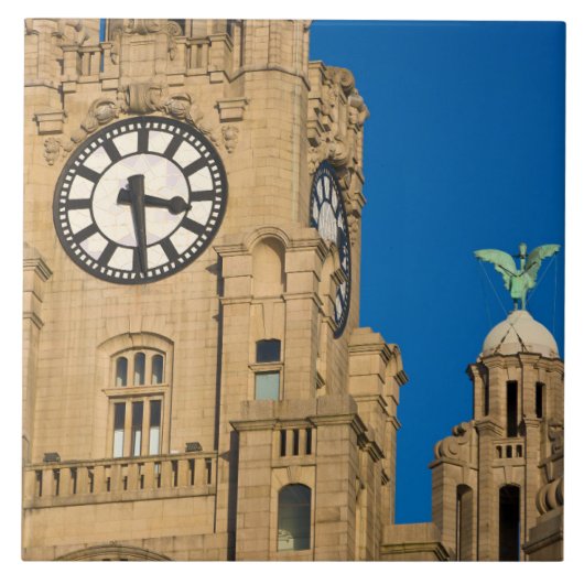 Liver Building, Liverpool, Merseyside, Engeland Tegeltje (Voorkant)