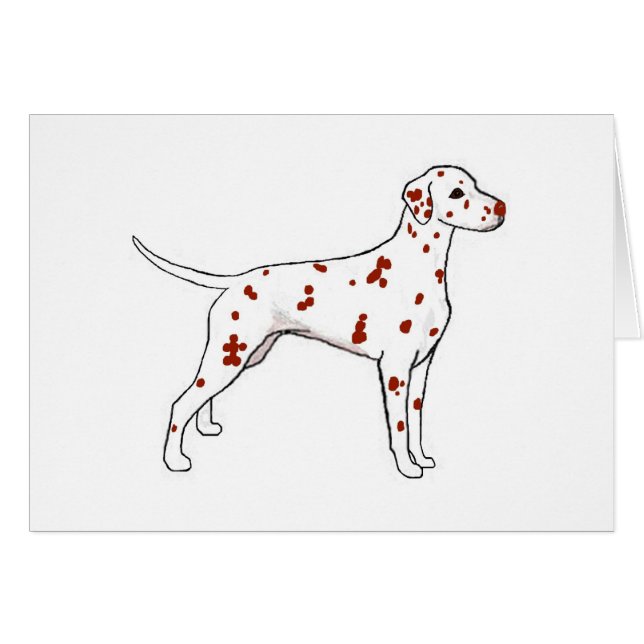 Liver Dalmatian (Voorkant Horizontaal)