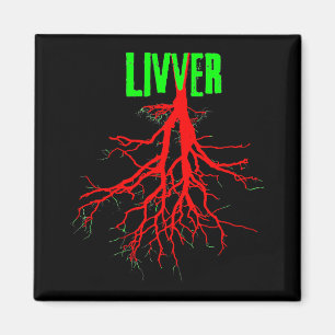 LIVER magnet