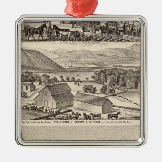 Livermore, Bardellini, boerderijen, hotel Metalen Ornament (Voorkant)