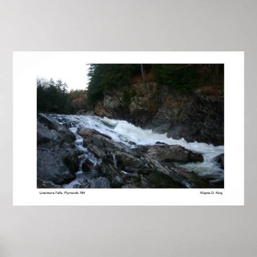 Livermore Herfsten Gorge, Plymouth, NH Poster (Voorkant)