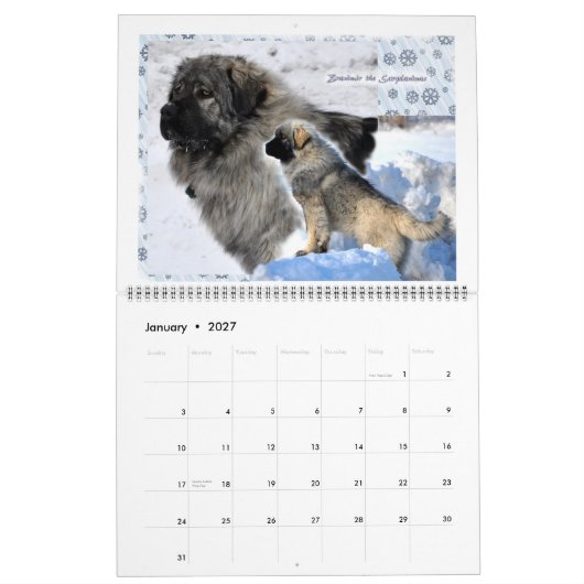 Livestock Guardian Dogs 2015 HUGE Kalender (Jan 2027)