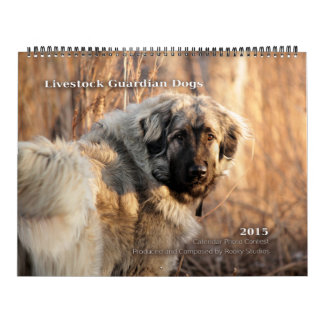 Livestock Guardian Dogs 2015 HUGE Kalender