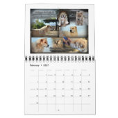 Livestock Guardian Dogs 2015 small Kalender (Feb 2027)