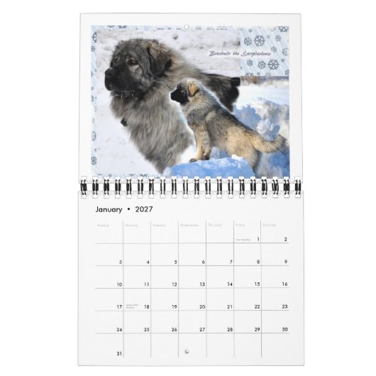 Livestock Guardian Dogs 2015 small Kalender (Jan 2027)