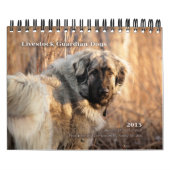 Livestock Guardian Dogs 2015 small Kalender (Hoes)