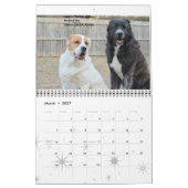 Livestock Guardian Dogs 2015 standaardformaat Kalender (Mar 2027)