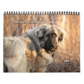 Livestock Guardian Dogs 2015 standaardformaat Kalender (Hoes)