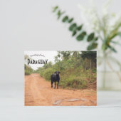 Livestock on a Road in Paraguay Briefkaart (Staand voorkant)